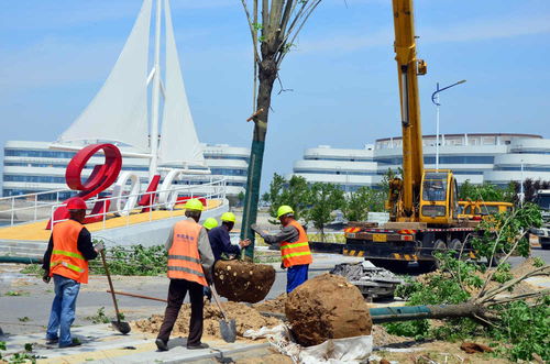 濱海區加速項目建設，全力打造精品工程